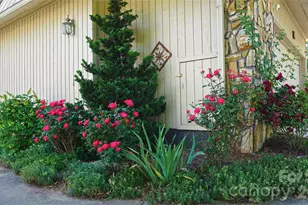 109 Clubwood Ct, Asheville, NC 28803 - Photo 3