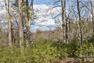 68 Acorn Rd, Asheville, NC 28804 - Photo 43