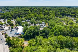 1057 Sardis Cove Dr, Charlotte, NC 28270 - Photo 23