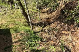 880 N Main St, Marion, NC 28752 - Photo 17