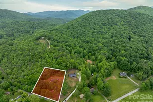 609 N Fork Rd, Black Mountain, NC 28711 - Photo 3