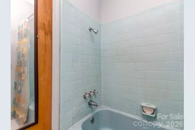 106 Mimosa Lane, Fort Mill, SC 29715 - Photo 13