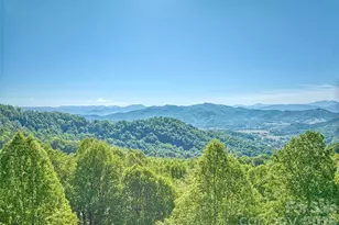 72 Tadpole Ln, Waynesville, NC 28785 - Photo 39