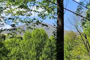 191 Forest Dr, Maggie Valley, NC 28751 - Photo 5