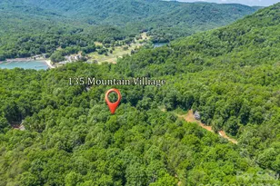 135 Mountain Village Blvd, Lake Lure, NC 28746 - Photo 43