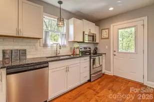 20 Plemmons St, Asheville, NC 28806 - Photo 11