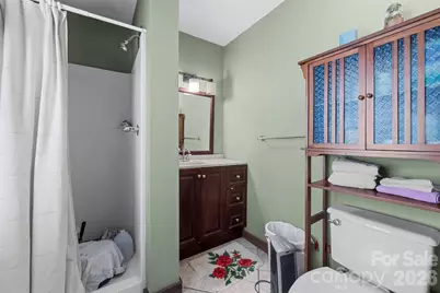 1717 Howard Moore Road, Hot Springs, NC 28743 - Photo 17