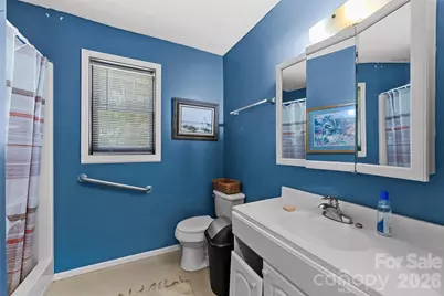 1717 Howard Moore Road, Hot Springs, NC 28743 - Photo 29