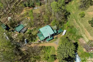 1717 Howard Moore Rd, Hot Springs, NC 28743 - Photo 37