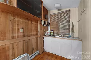 1717 Howard Moore Rd, Hot Springs, NC 28743 - Photo 11