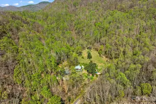1717 Howard Moore Rd, Hot Springs, NC 28743 - Photo 41