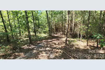 1050 McQueen Road, Patrick, SC 29584 - Photo 23