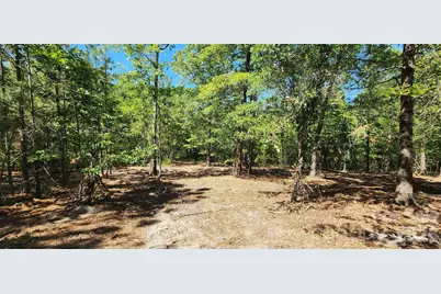 1050 McQueen Road, Patrick, SC 29584 - Photo 15