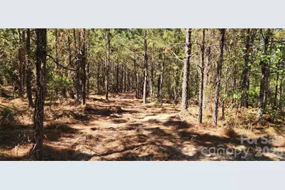 1050 McQueen Road, Patrick, SC 29584 - Photo 13