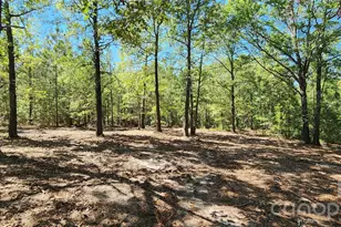 1050 McQueen Rd, Patrick, SC 29584 - Photo 1