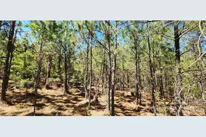1050 McQueen Road, Patrick, SC 29584 - Photo 21