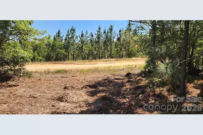 1050 McQueen Road, Patrick, SC 29584 - Photo 11