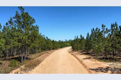 1050 McQueen Road, Patrick, SC 29584 - Photo 5