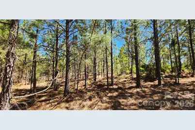 1050 McQueen Road, Patrick, SC 29584 - Photo 27