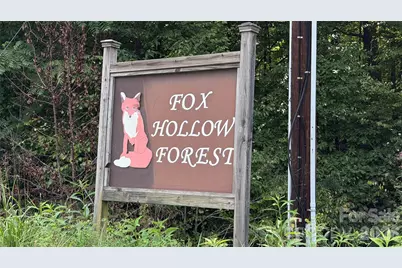 1730 Fox Hollow Road, Pisgah Forest, NC 28768 - Photo 9