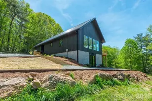 57 Mezzo Cove, Asheville, NC 28804 - Photo 3
