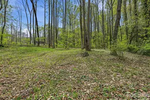 36 Dogwood Drive, Maggie Valley, NC 28751 - Photo 37