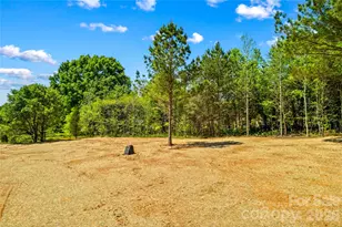 6016 Bridges St, Catawba, NC 28609 - Photo 39