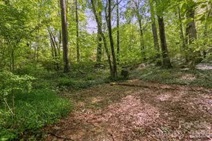 98 Skyline Dr, Hendersonville, NC 28791 - Photo 23