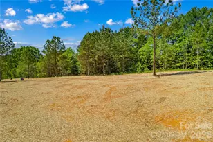 6028 Bridges St, Catawba, NC 28609 - Photo 37
