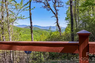 20 Laurel Cottage Ln, Black Mountain, NC 28711 - Photo 23