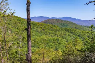 20 Laurel Cottage Ln, Black Mountain, NC 28711 - Photo 27