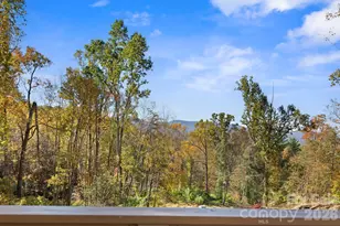 96 Old Cv Rd, Black Mountain, NC 28711 - Photo 7