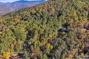 96 Old Cv Rd, Black Mountain, NC 28711 - Photo 15