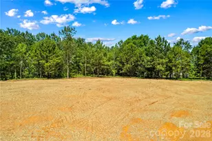 6040 Bridges St, Catawba, NC 28609 - Photo 37