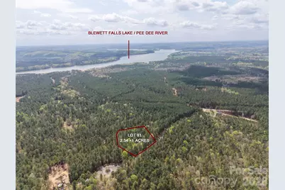 Tbd River Bluff Lane, Lilesville, NC 28091 - Photo 1