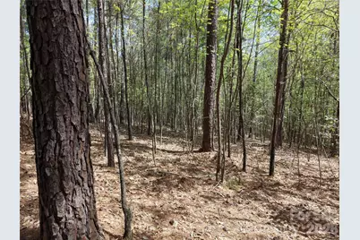 Tbd River Bluff Lane, Lilesville, NC 28091 - Photo 19