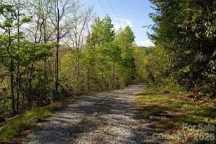 1412 N Bearwallow Rd, Fletcher, NC 28732 - Photo 29