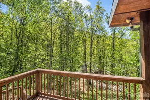 170 Old Mountain Pass, Hendersonville, NC 28792 - Photo 27