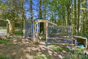 115 Field Sparrow Ln, Hendersonville, NC 28792 - Photo 47