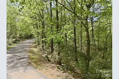 Lot 50 Huntington Road #50, Lake Lure, NC 28746 - Photo 3