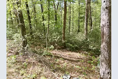 Lot 50 Huntington Road #50, Lake Lure, NC 28746 - Photo 9
