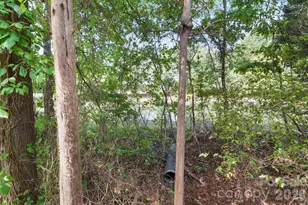 13339 Mint Lake Dr, Matthews, NC 28105 - Photo 27