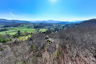160 Turkey Hollow Ct, Waynesville, NC 28785 - Photo 9