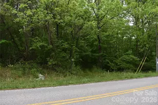 304 Moriah School Rd, Casar, NC 28020 - Photo 1