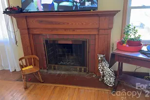 1582 Dutch Cove Rd, Canton, NC 28716 - Photo 13