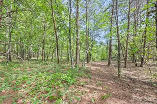 311 Soco Gap Rd, Ellenboro, NC 28040 - Photo 13