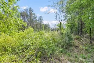 311 Soco Gap Rd, Ellenboro, NC 28040 - Photo 15