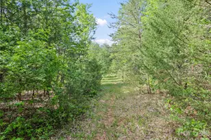 311 Soco Gap Rd, Ellenboro, NC 28040 - Photo 11