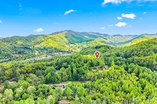 1 Virginia Ln, Cullowhee, NC 28734 - Photo 33