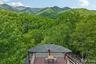 295 Dills Rd, Bryson City, NC 28713 - Photo 17